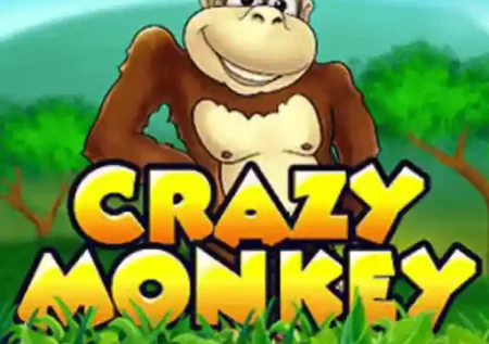 Crazy Monkey Казино